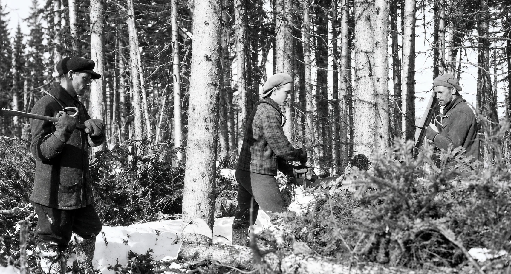 Archival photograph of the North Shore logging camps, image 17
