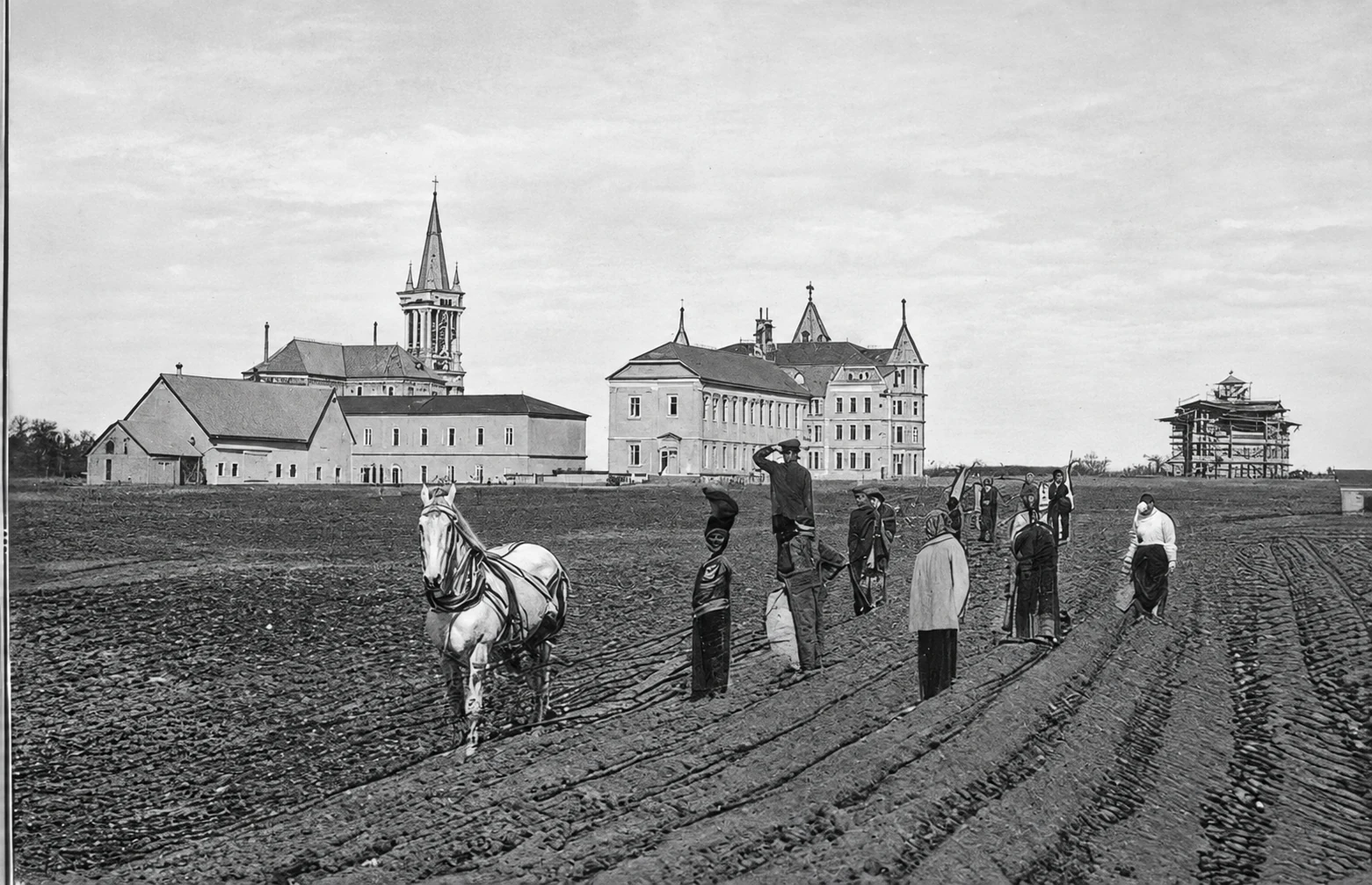 Colegio - Exterior - campo de patatas
